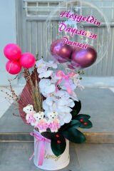Doğum balon kutusu